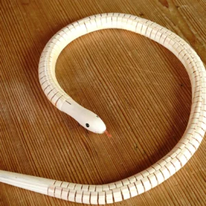 Wooden Snakes